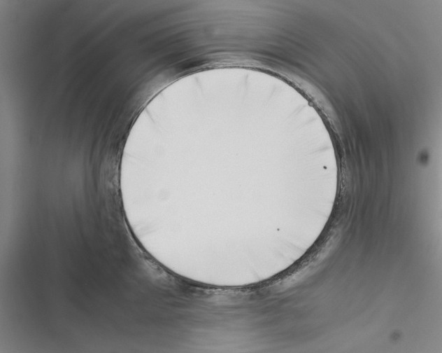 X0000116420905201001191447
