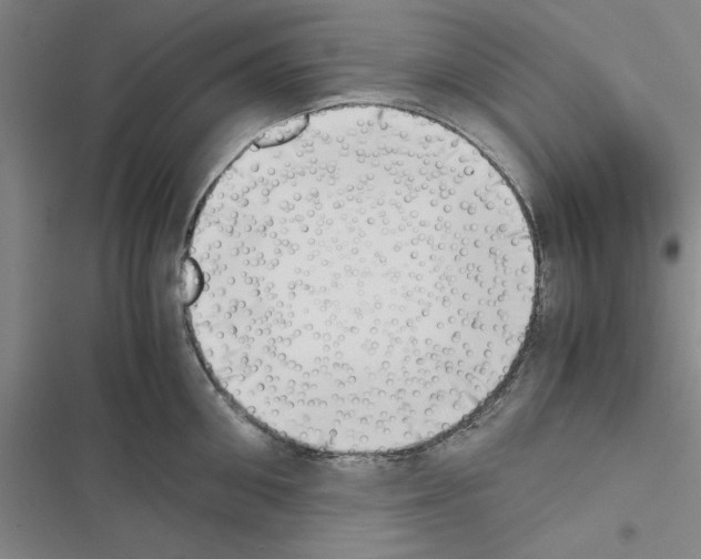 X0000116420906201001191447