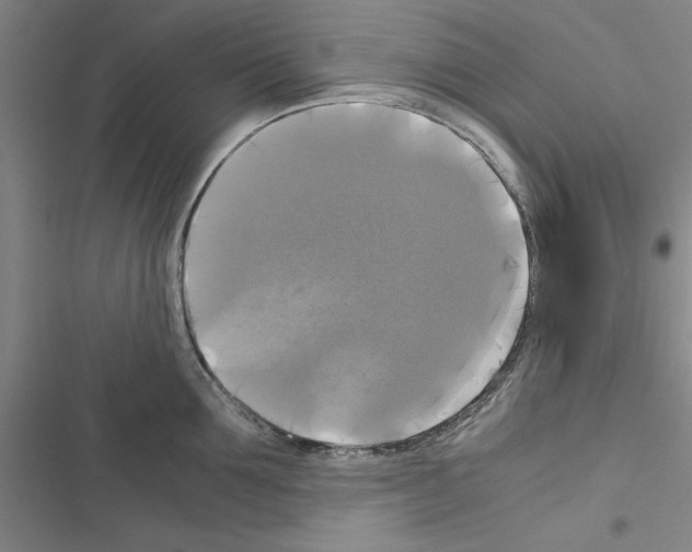 X0000116420907201001191447