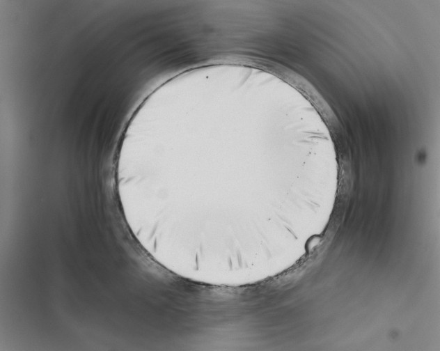 X0000116420908201001191447