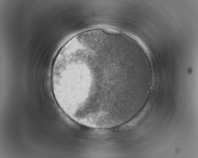 X0000116420910201001191447