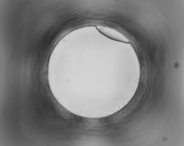 X0000116420911201001191447