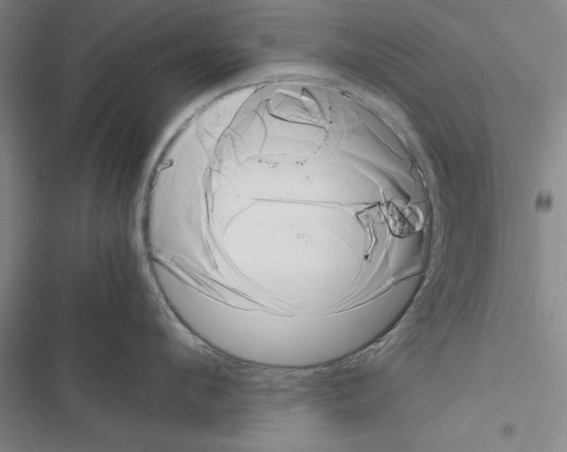 X0000116420912201001191447