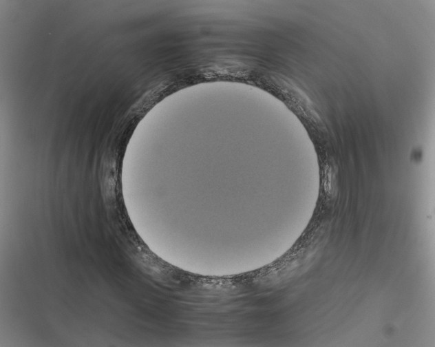 X0000116420915201001191447