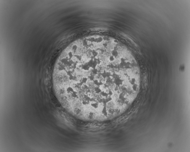 X0000116420917201001191447