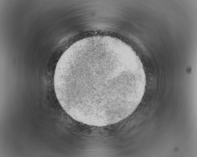 X0000116420918201001191447