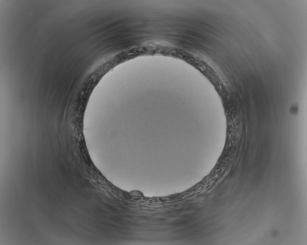 X0000116420919201001191447