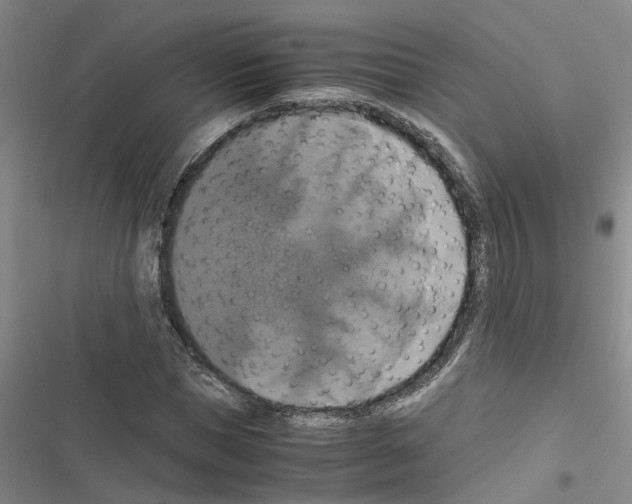 X0000116420921201001191447