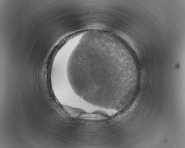 X0000116420923201001191447