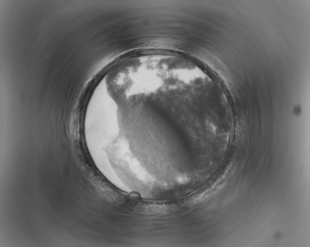 X0000116420925201001191447