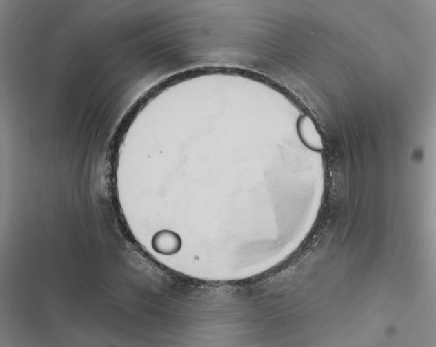 X0000116420926201001191447