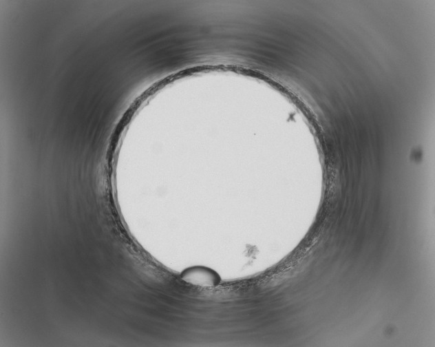 X0000116420927201001191447