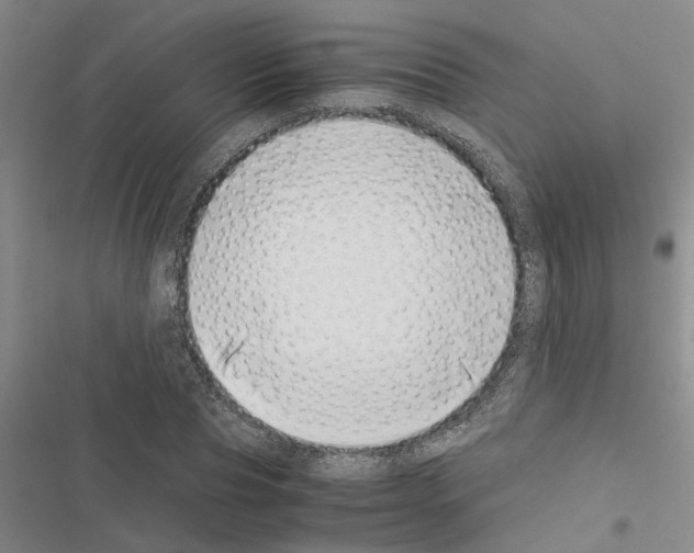 X0000116420929201001191447
