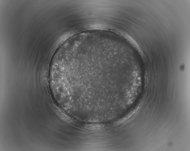 X0000116420930201001191447