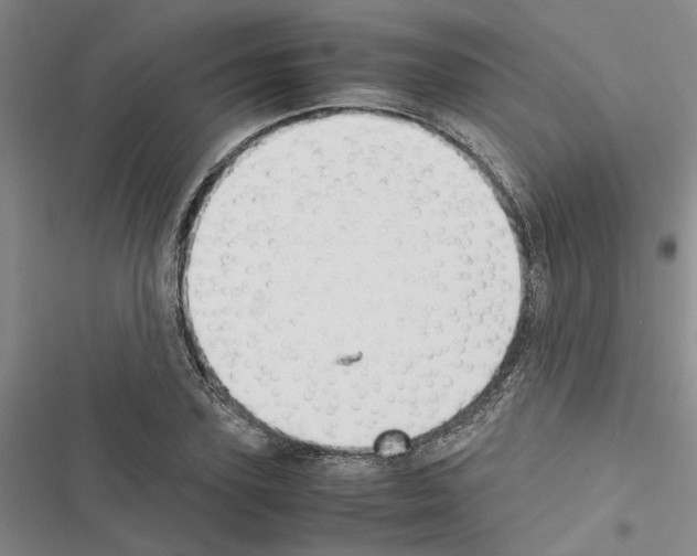 X0000116420931201001191447