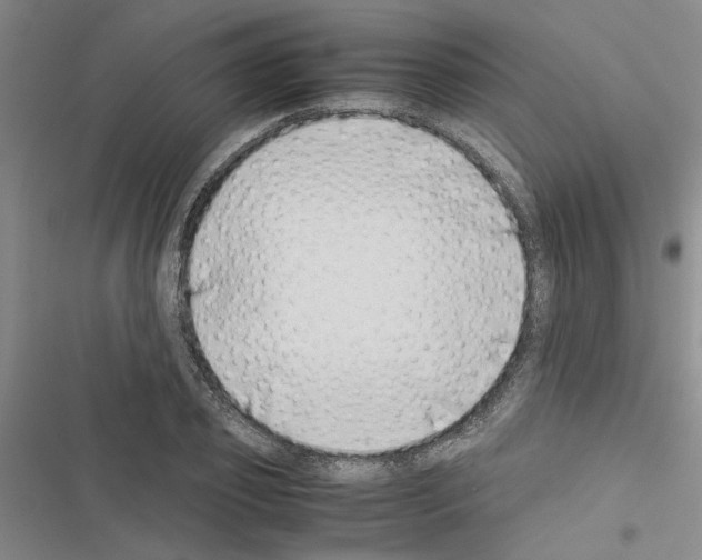 X0000116420933201001191447