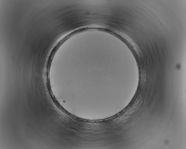 X0000116420935201001191447