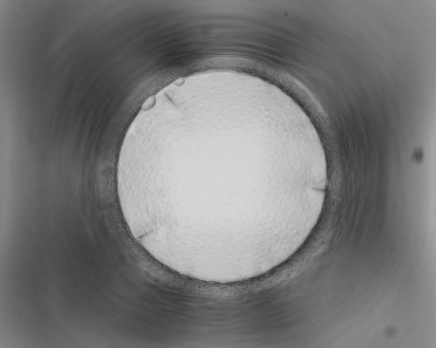 X0000116420937201001191447