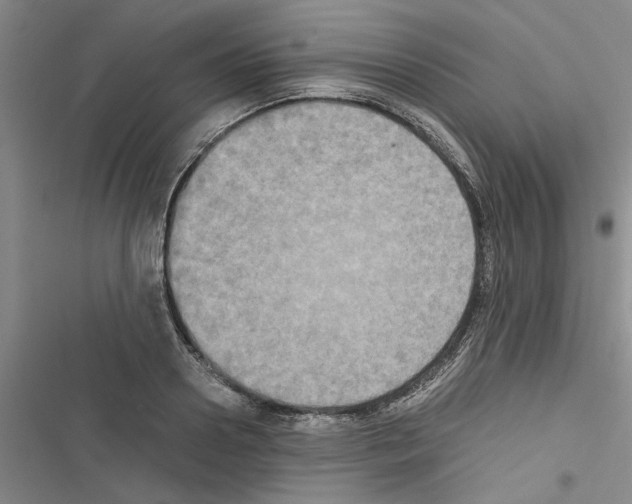 X0000116420938201001191447