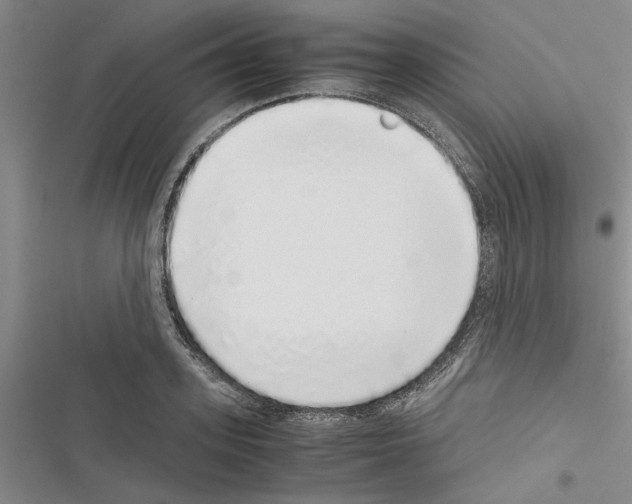 X0000116420939201001191447