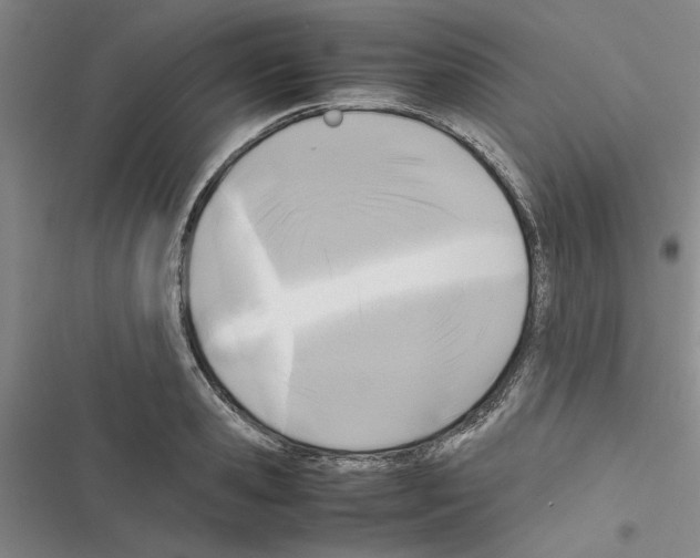X0000116420941201001191447
