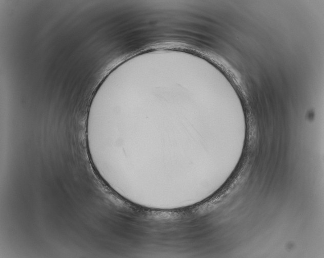X0000116420945201001191447