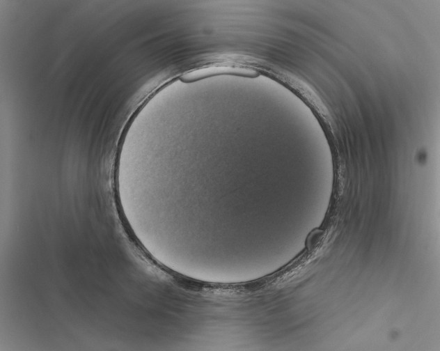 X0000116420946201001191447