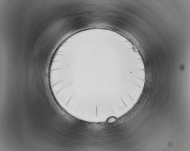 X0000116420947201001191447