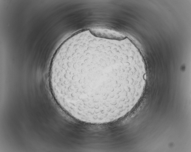 X0000116420949201001191447
