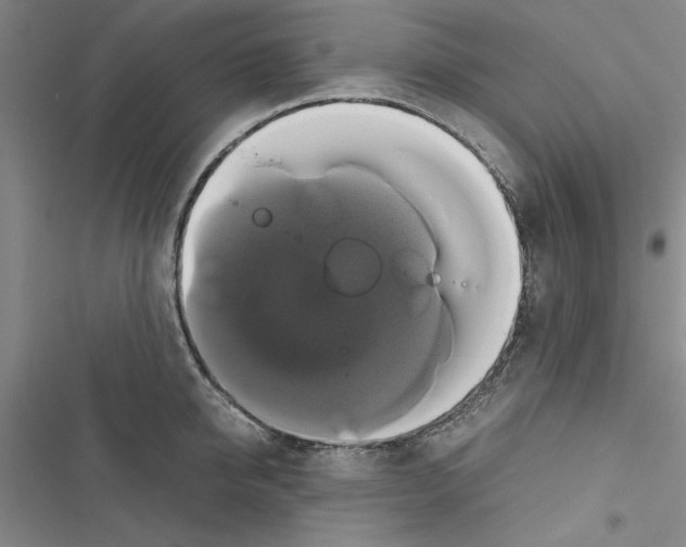 X0000116420950201001191447