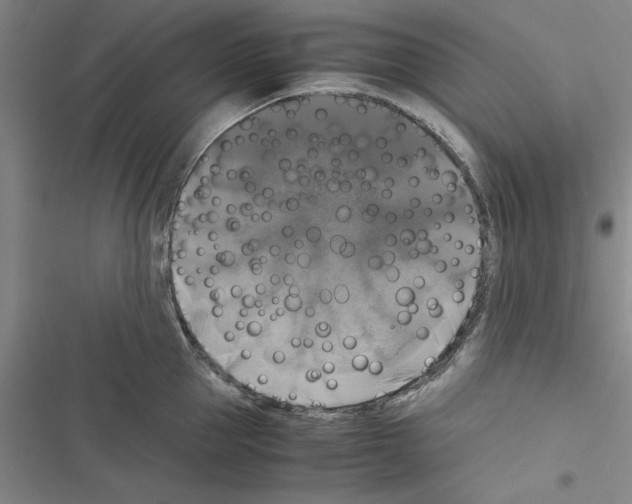 X0000116420953201001191447