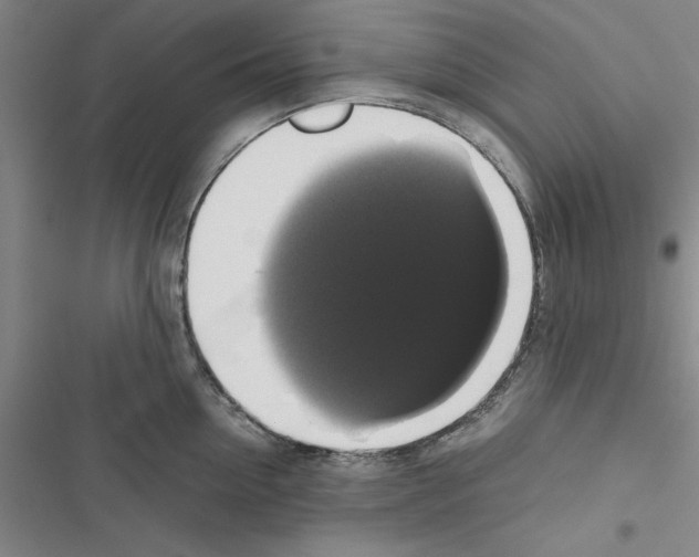 X0000116420954201001191447