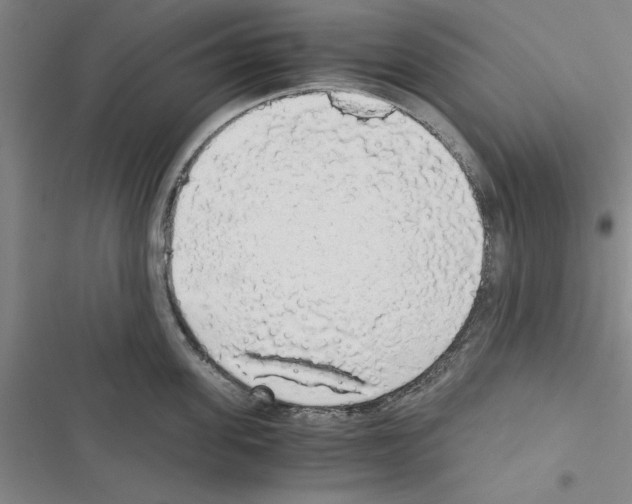 X0000116420955201001191447