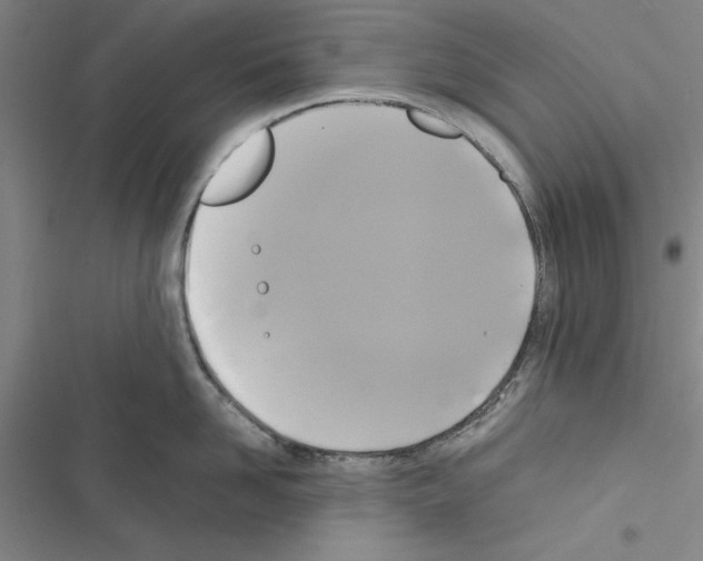 X0000116420958201001191447