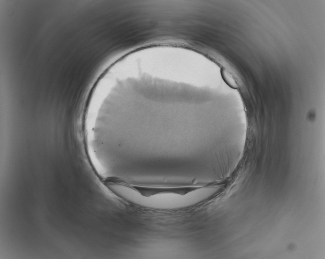 X0000116420959201001191447