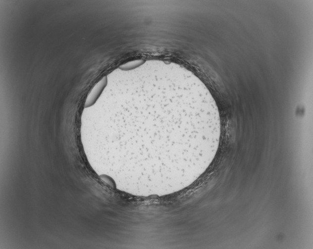 X0000116420961201001191446