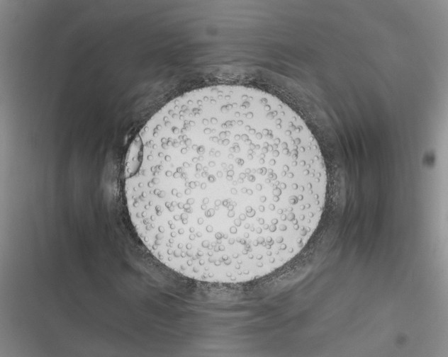X0000116420962201001191446