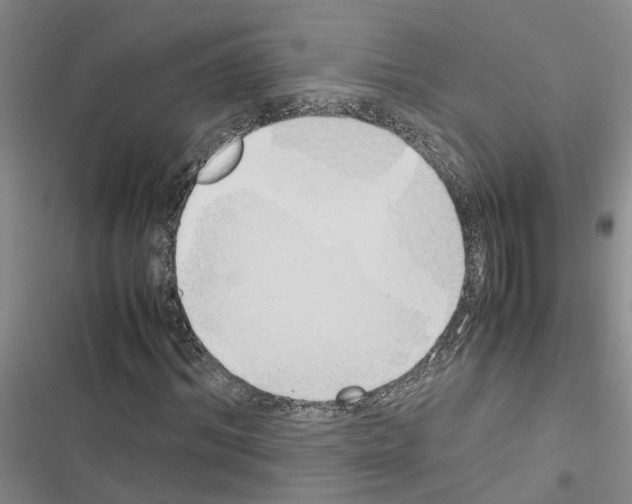 X0000116420964201001191446