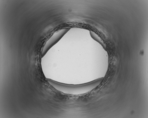 X0000116420965201001191446