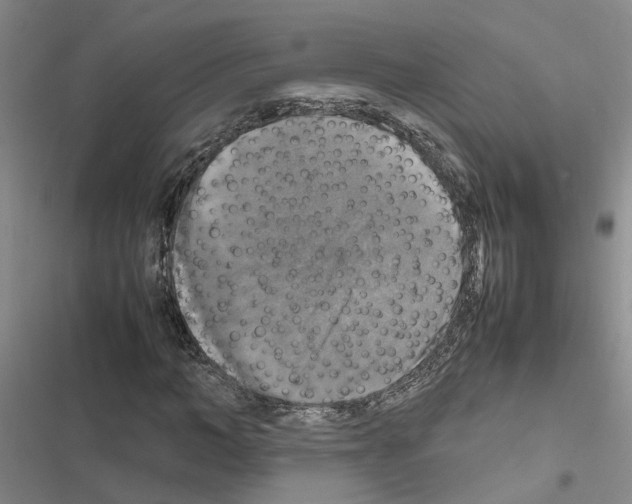 X0000116420966201001191446
