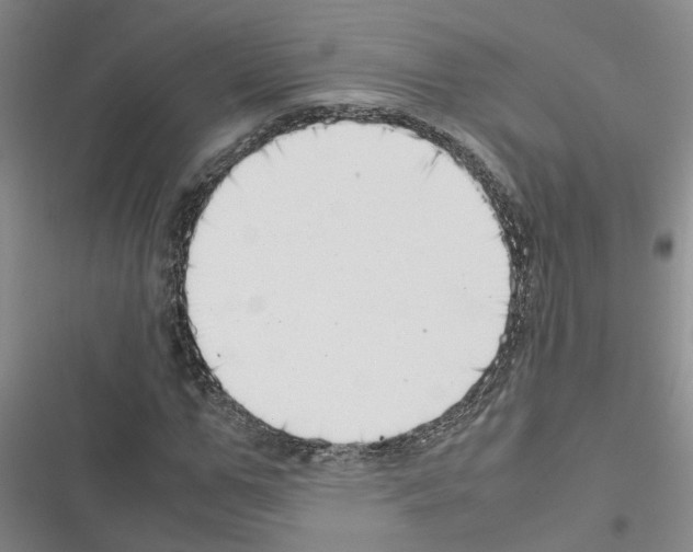 X0000116420967201001191446