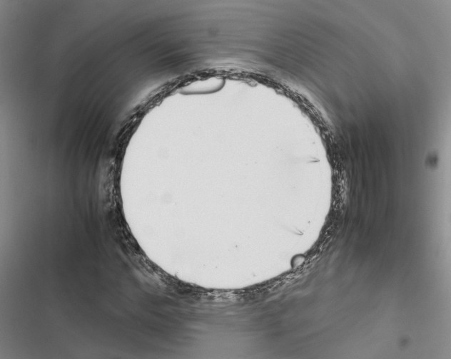 X0000116420968201001191446