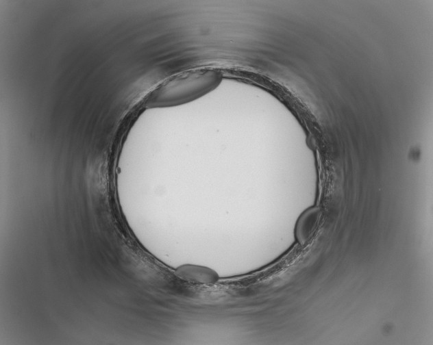 X0000116420969201001191446