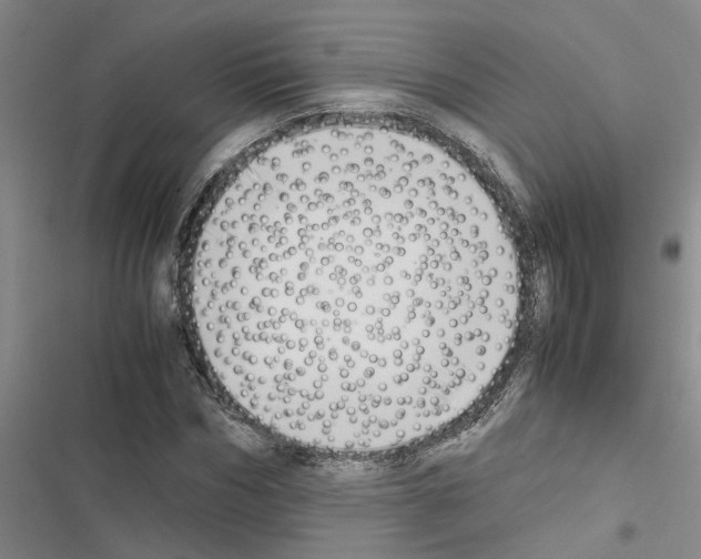 X0000116420970201001191446