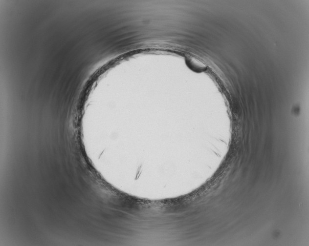 X0000116420971201001191446