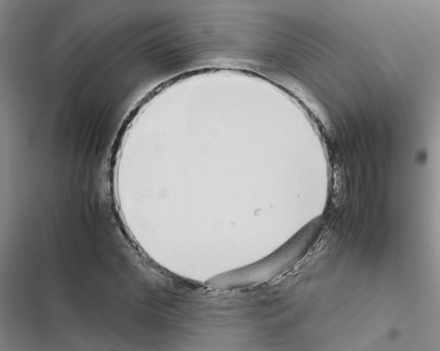 X0000116420972201001191446