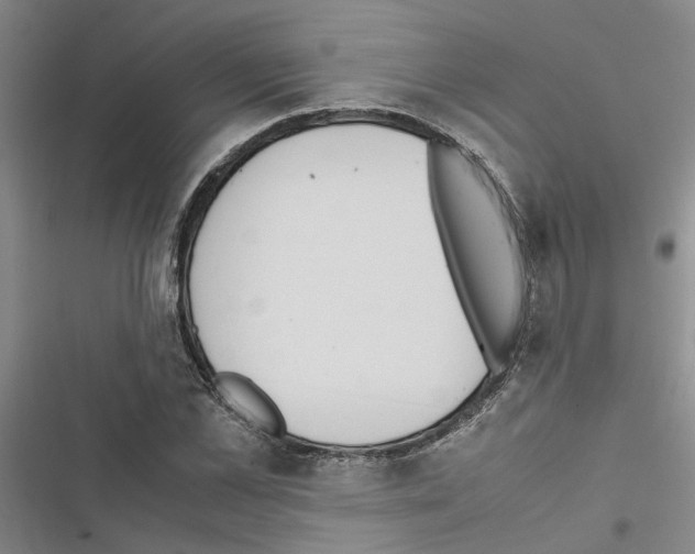 X0000116420973201001191446