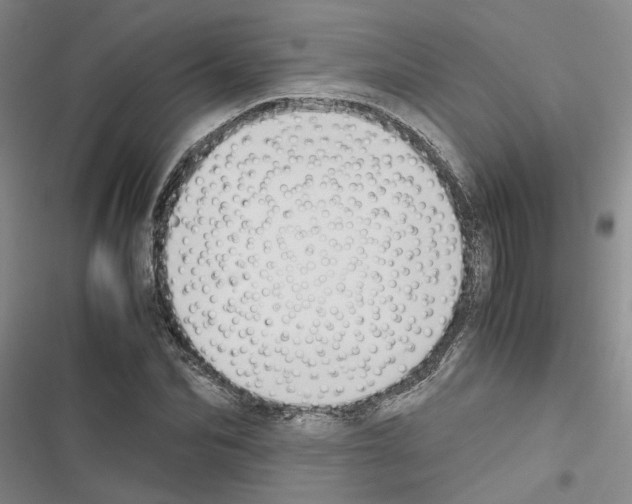 X0000116420974201001191446