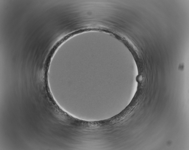 X0000116420975201001191446
