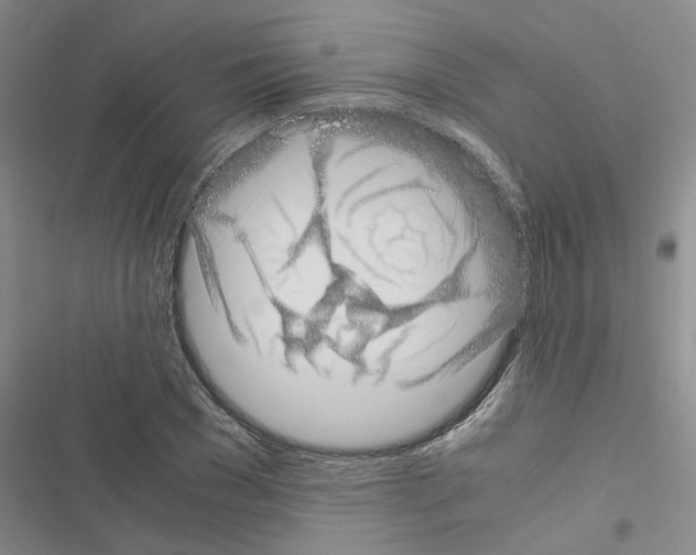 X0000116420977201001191446